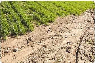 Terreno Erosionado por insuficiente canalización de aguas lluvias