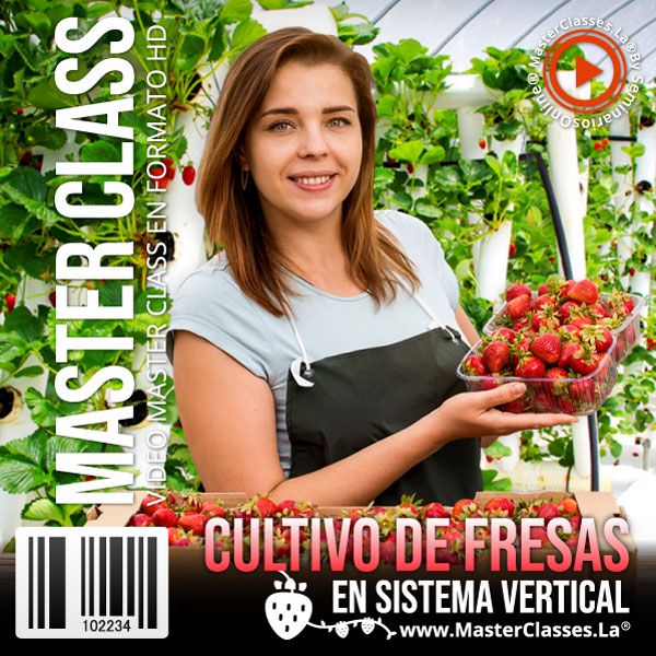 Agricultura Alternativa 5 1.01.04 cultivo de fresas en sistema vertical