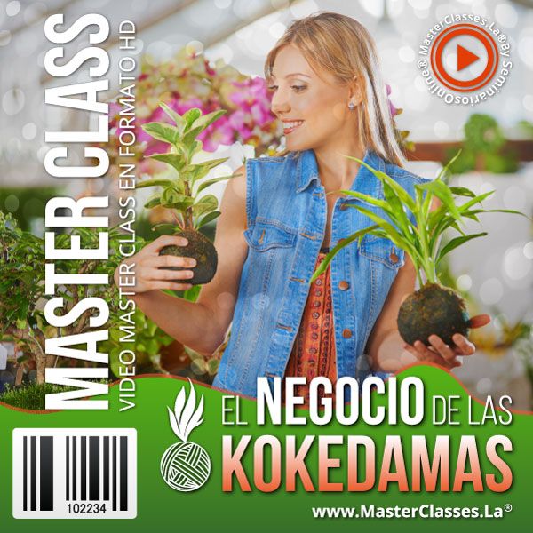 Agroindustria Doméstica 6 1.02.05 el negocio de las kokedamas