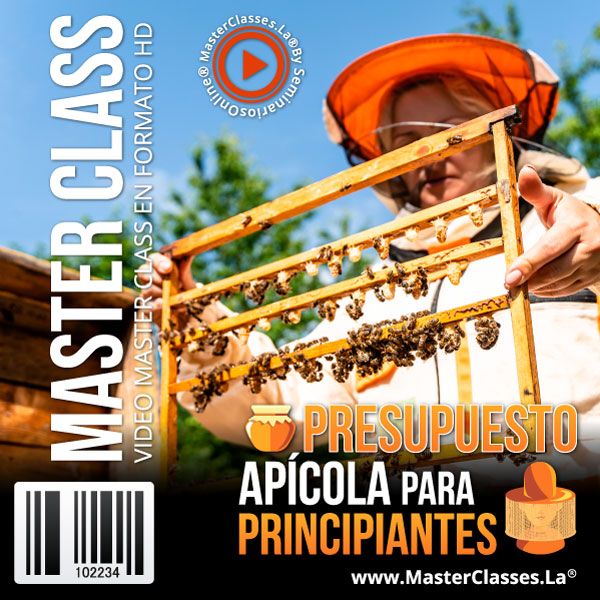 Agricultura Tradicional 8 1.3.07 presupuesto apicola para principiantes