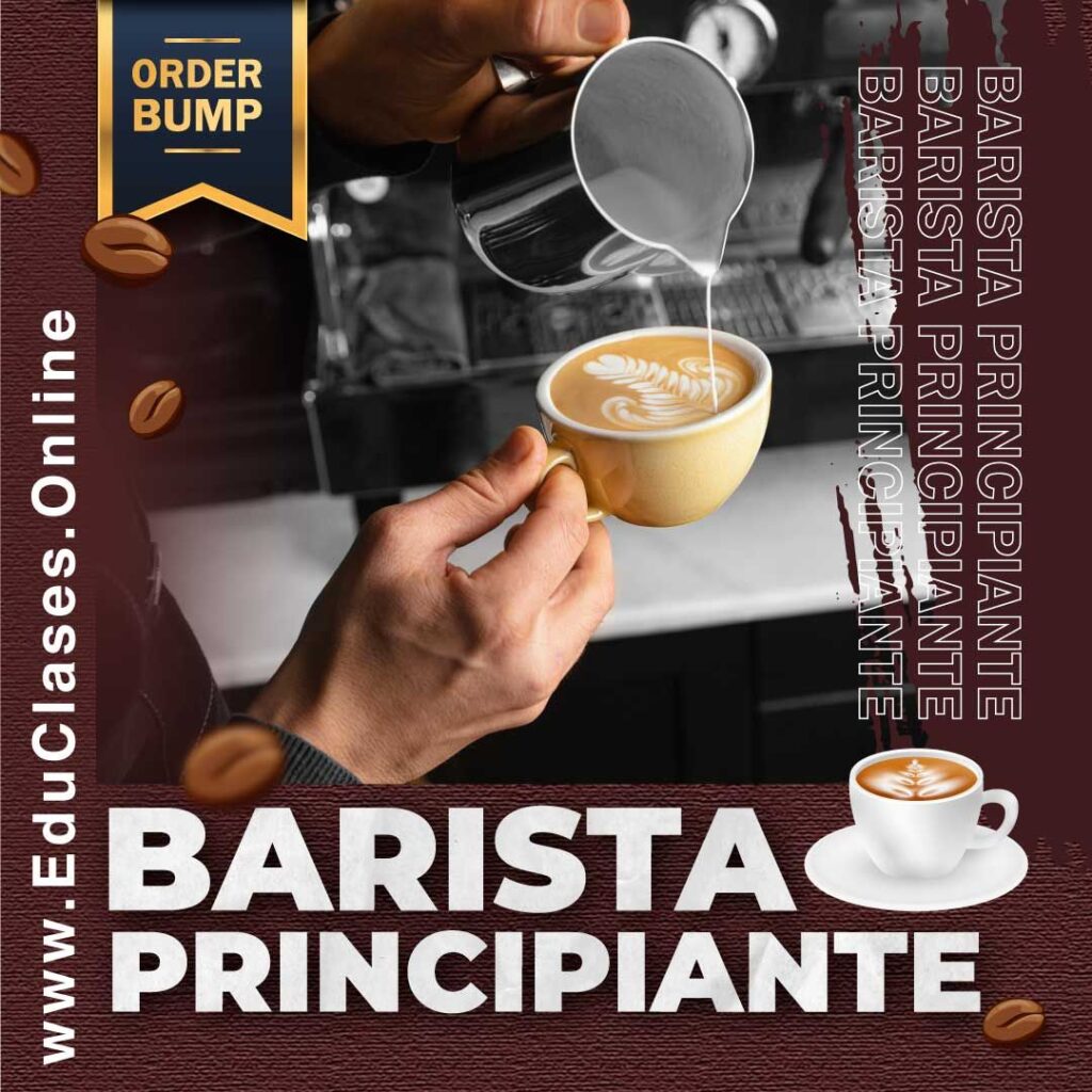 Cafetería, Coctelería y Bebidas 5 5.1.04 Barista Principiante