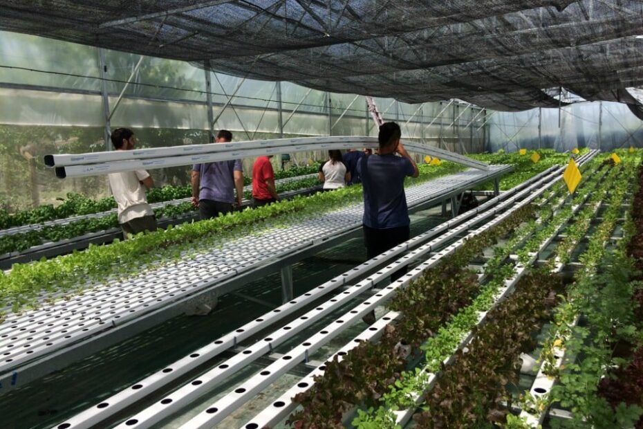 Agricultuta Alternativa - Catálogo de Soluciones