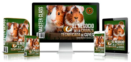 Mascotas y Veterinaria 15 6.14 Crianza Cuyes