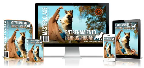 Mascotas y Veterinaria 16 6.15 Entrena perros hogar
