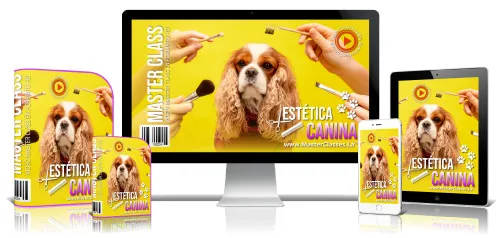 Mascotas y Veterinaria 17 6.16 Estetica canina