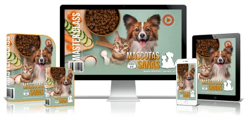 Mascotas y Veterinaria 18 6.17 Mascotas sanas