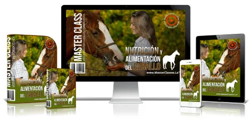 Mascotas y Veterinaria 19 6.18 Nutricion caballo