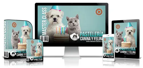 Mascotas y Veterinaria 20 6.19 Pastel cani felina