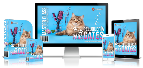 Mascotas y Veterinaria 21 6.20 Peluqueria gatos