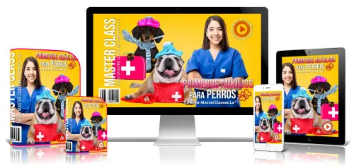 Mascotas y Veterinaria 24 6.23 Primer aux perros