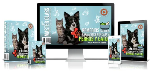 Mascotas y Veterinaria 27 6.26 RemediosCaseros PerrGtos