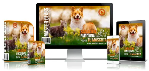 Mascotas y Veterinaria 31 6.30 Sanacion Emoc Mascota