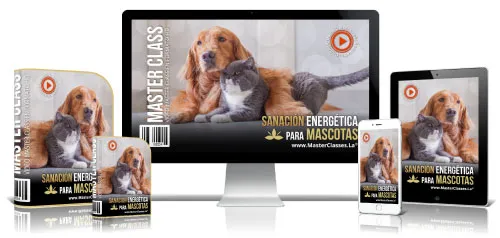 Mascotas y Veterinaria 32 6.31 Sanacion energetica
