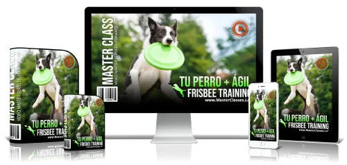 Mascotas y Veterinaria 36 6.35 Perro mas agil