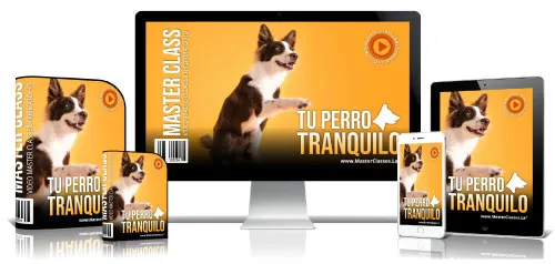 Mascotas y Veterinaria 38 6.37 Perro tranquilo